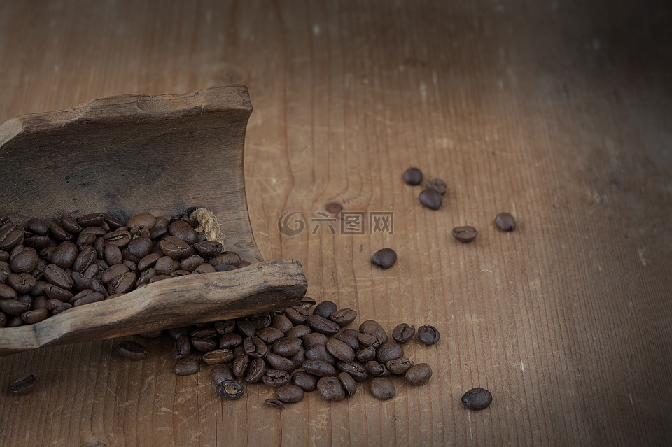 咖啡,咖啡豆,天然产物