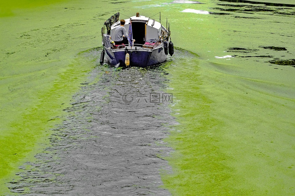 船,运河,水