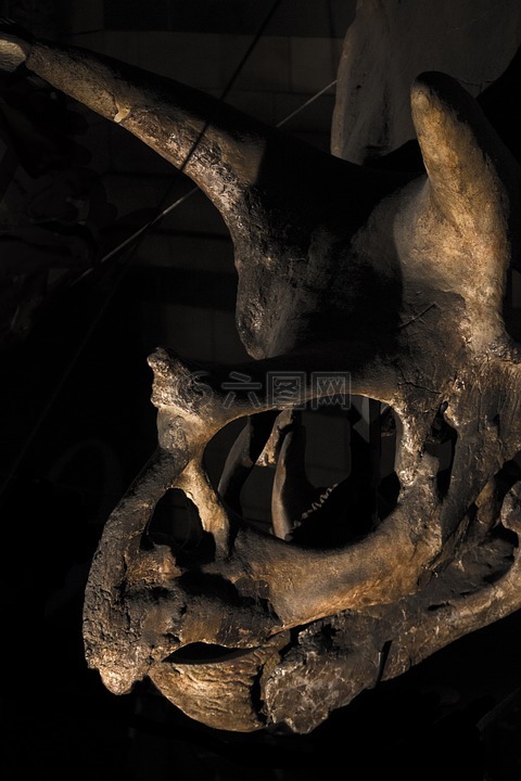 伦敦,博物馆,历史