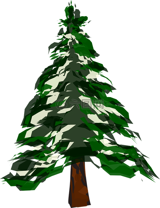 树,冷杉,圣诞节