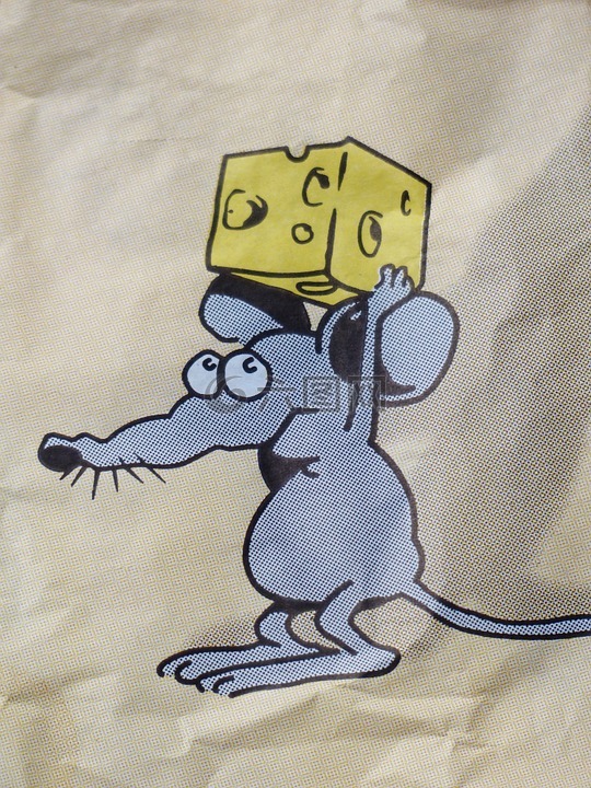 鼠标,奶酪,被盗