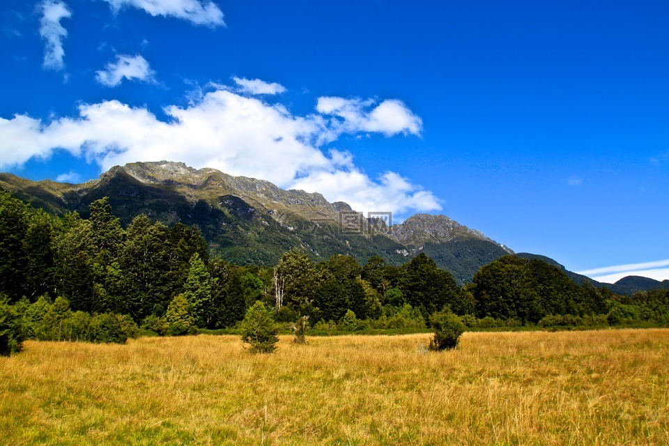 山,草,自然