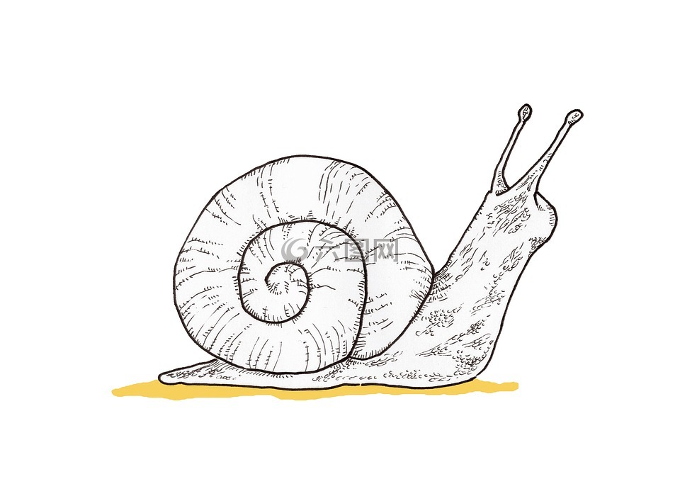 蜗牛仿生手绘图片