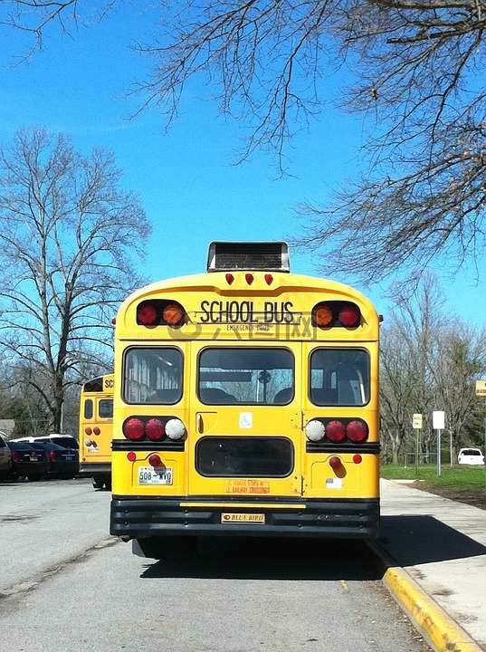 学校,学校巴士,总线