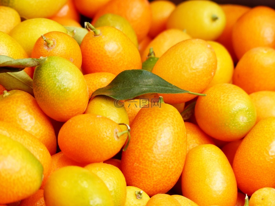 金橘,水果,金柑