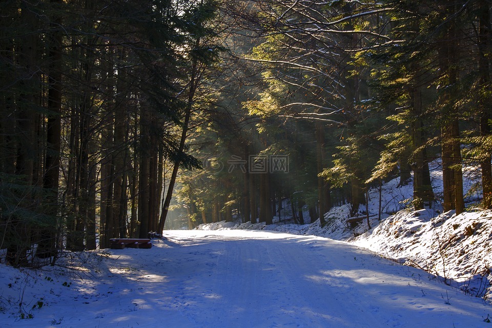 雪路,路上的光,心灵的平静