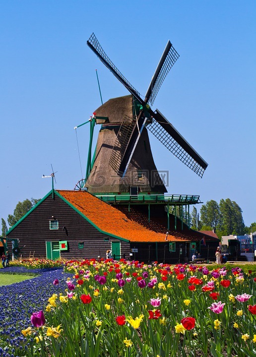风车,荷兰,花园