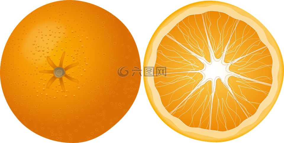 橙色,水果,普通话