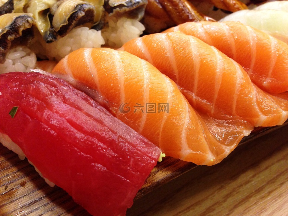 寿司,日本,大马哈鱼