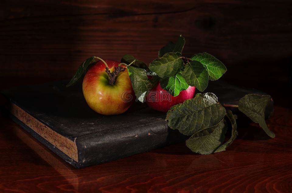 苹果,笔记本,秋季