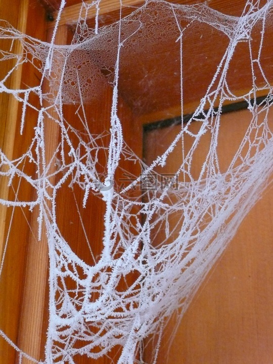 蜘蛛网,苍老,冷冰冰