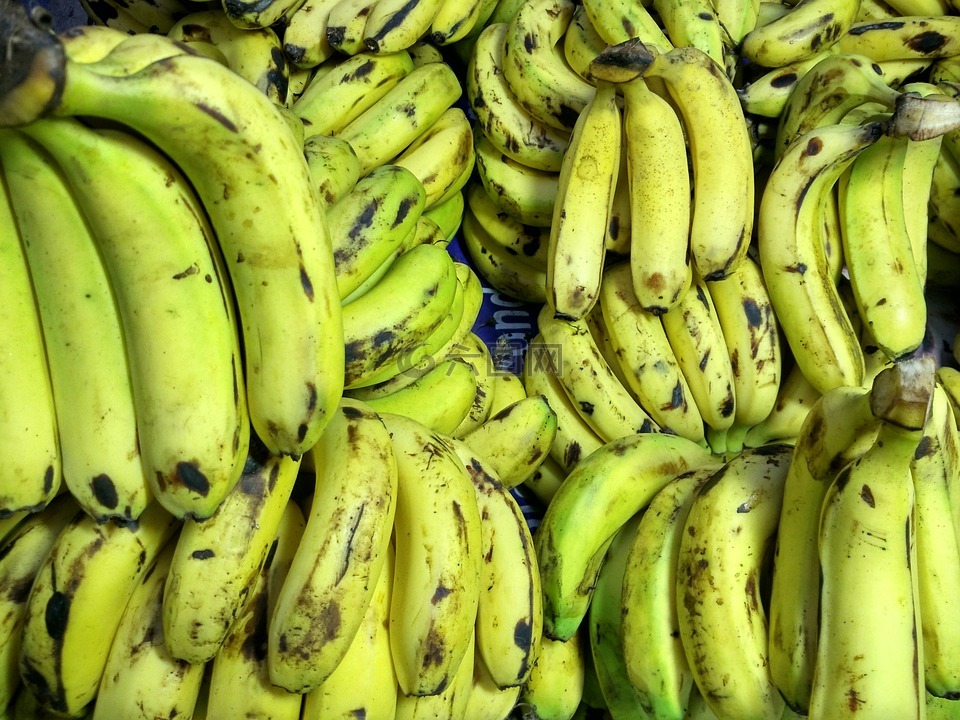 香蕉,芭蕉,水果