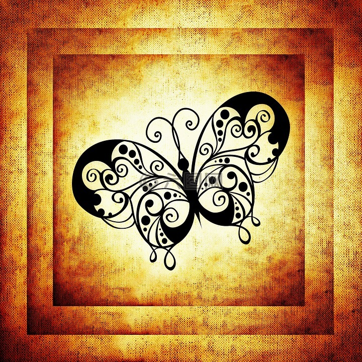 蝴蝶,框架,图像