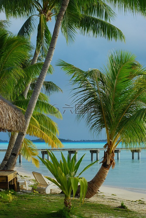 地处热带的海滩,棕榈树,岛