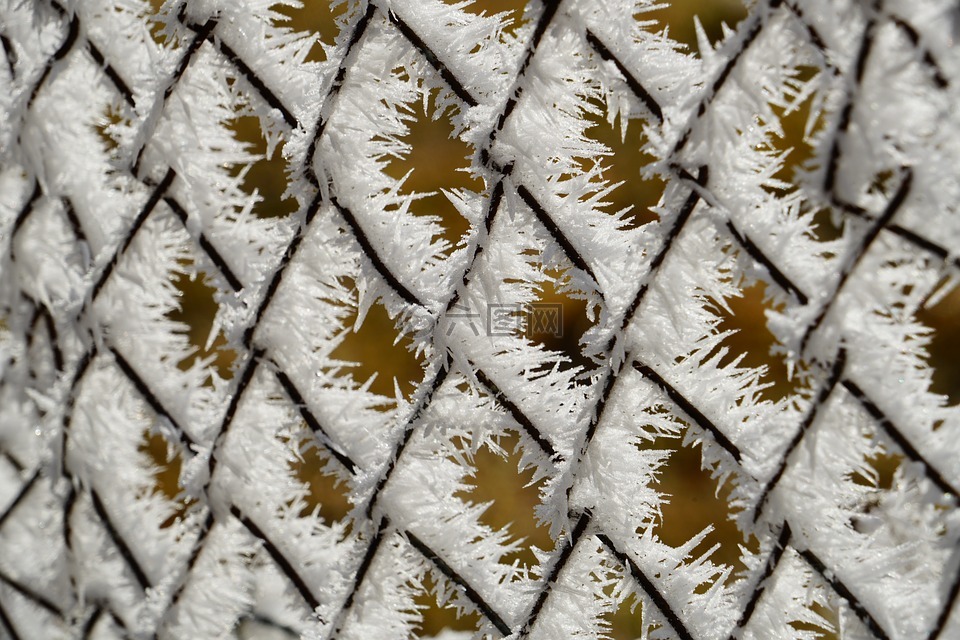 护栏网,篱笆,霜