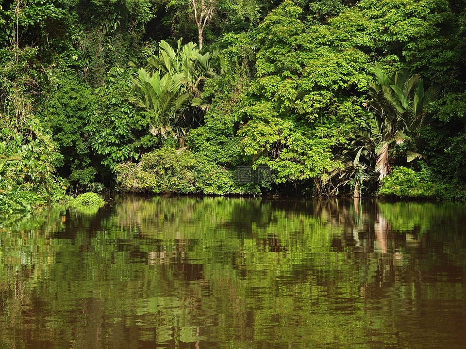 托土盖罗国家公园,哥斯达黎加,热带地区