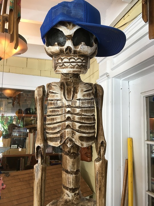 骨骼的棒球帽子,人工雕塑与蓝色的帽子,骨骼的帽子