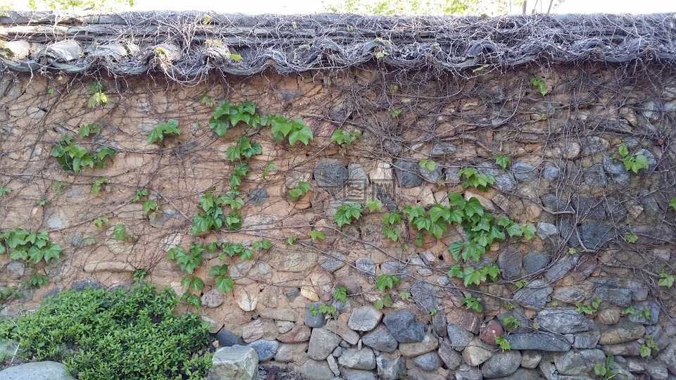 土壤坝,常春藤,和栅栏