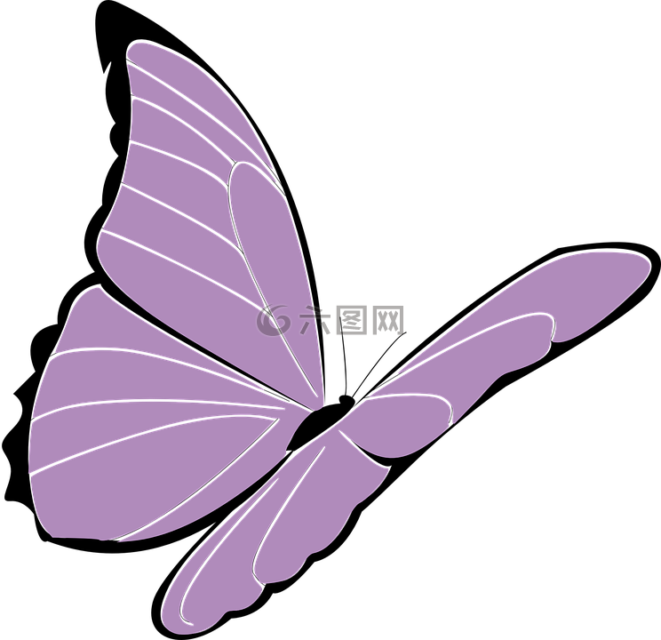 蝴蝶,紫色,紫罗兰色