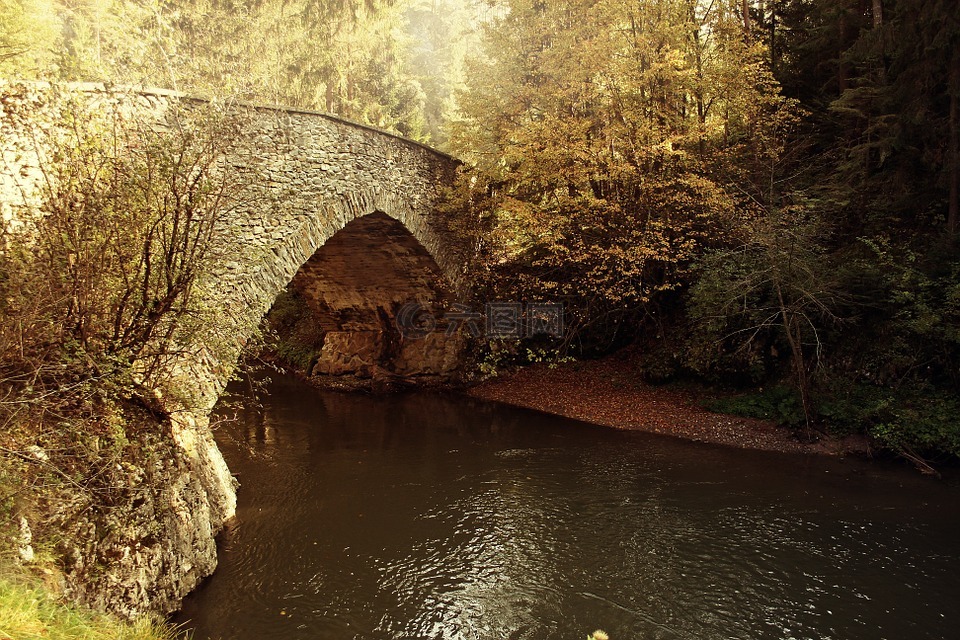 桥,秋,河流