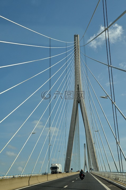 桥,斜拉桥,电缆