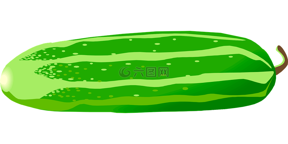 黄瓜,蔬菜,绿色