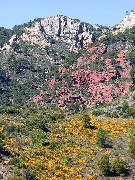 景观,贝利奥拉特,红砂岩