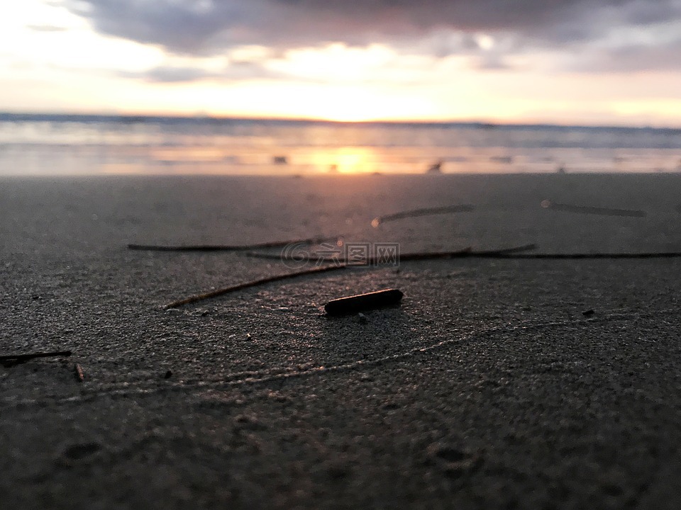 普吉岛大海,沙滩,枯枝