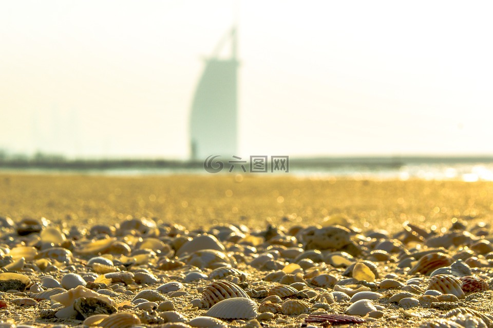 迪拜,海滩,炮弹