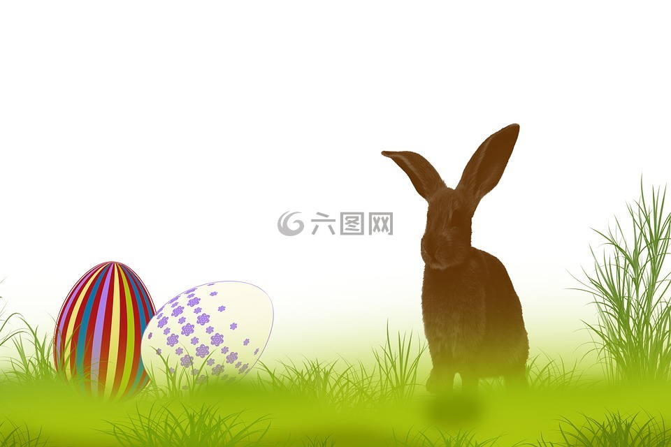 兔,草,春