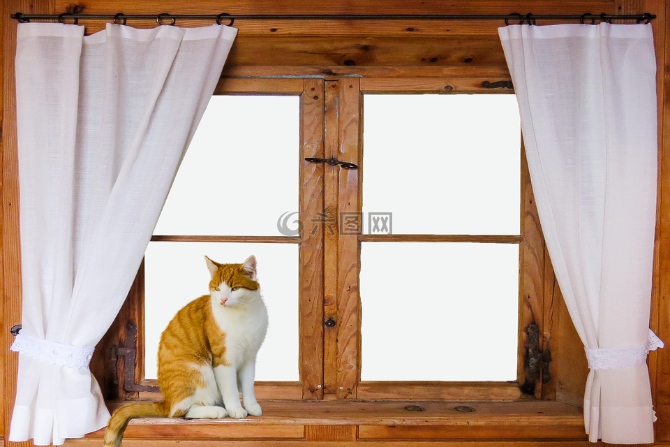 架构,窗口,展望