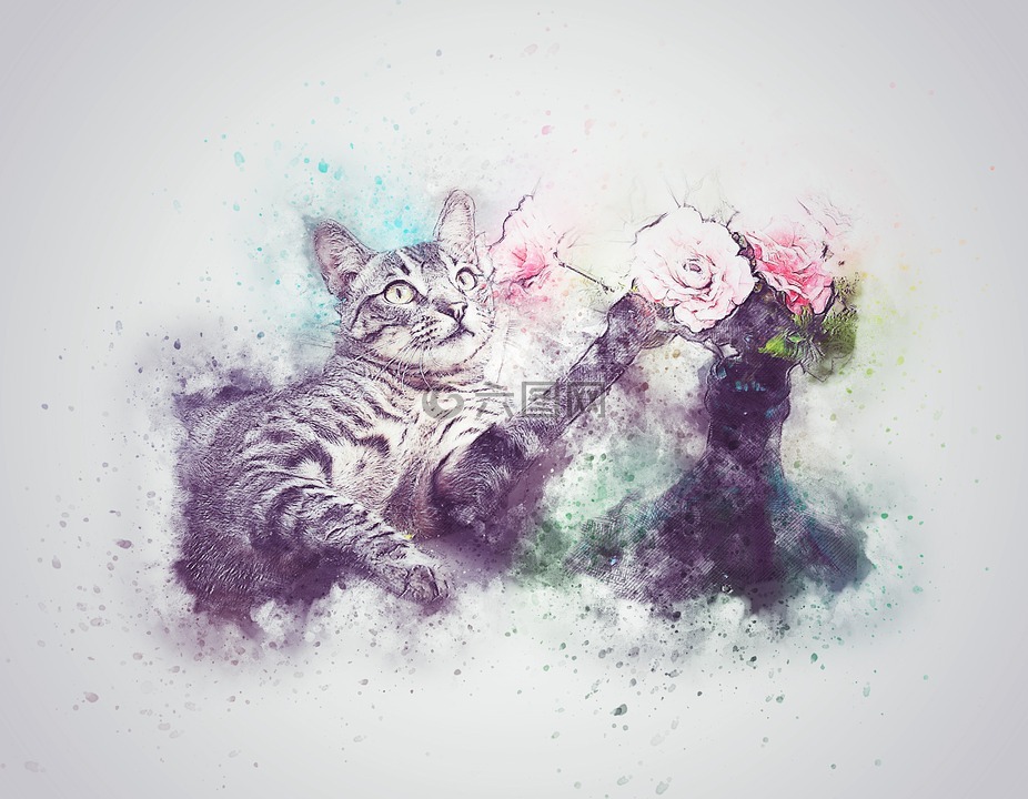 猫,宠物,花