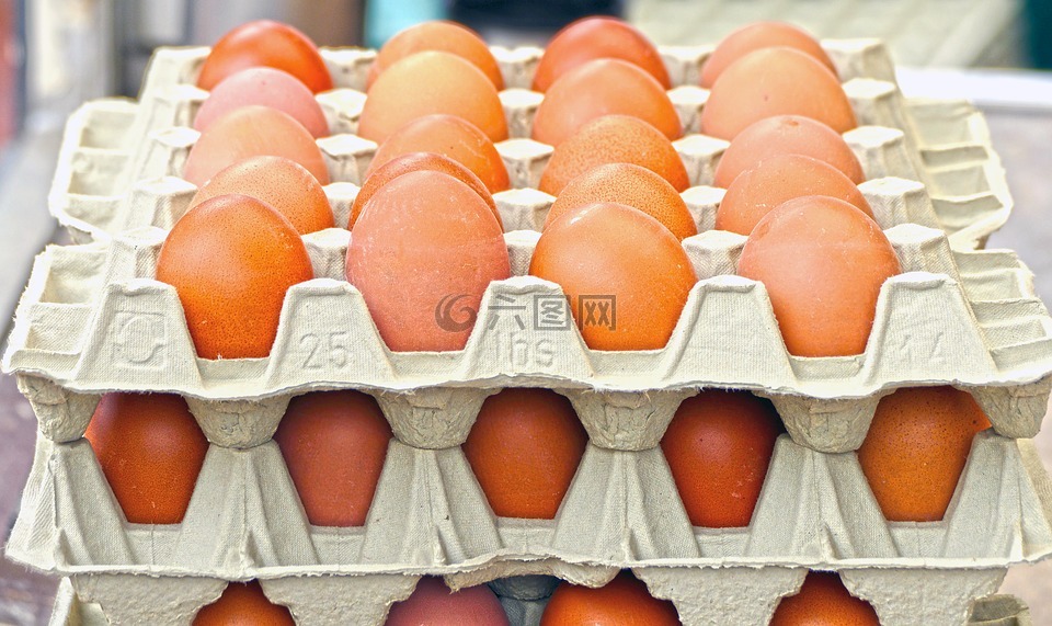 蛋,鸡蛋,鸡蛋盒