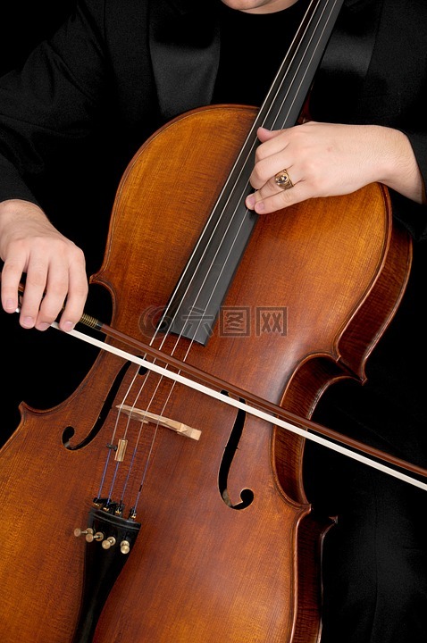 大提琴,乐器,仪器