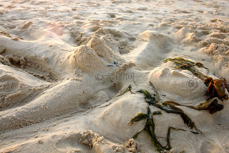 海滩,沙,沙雕