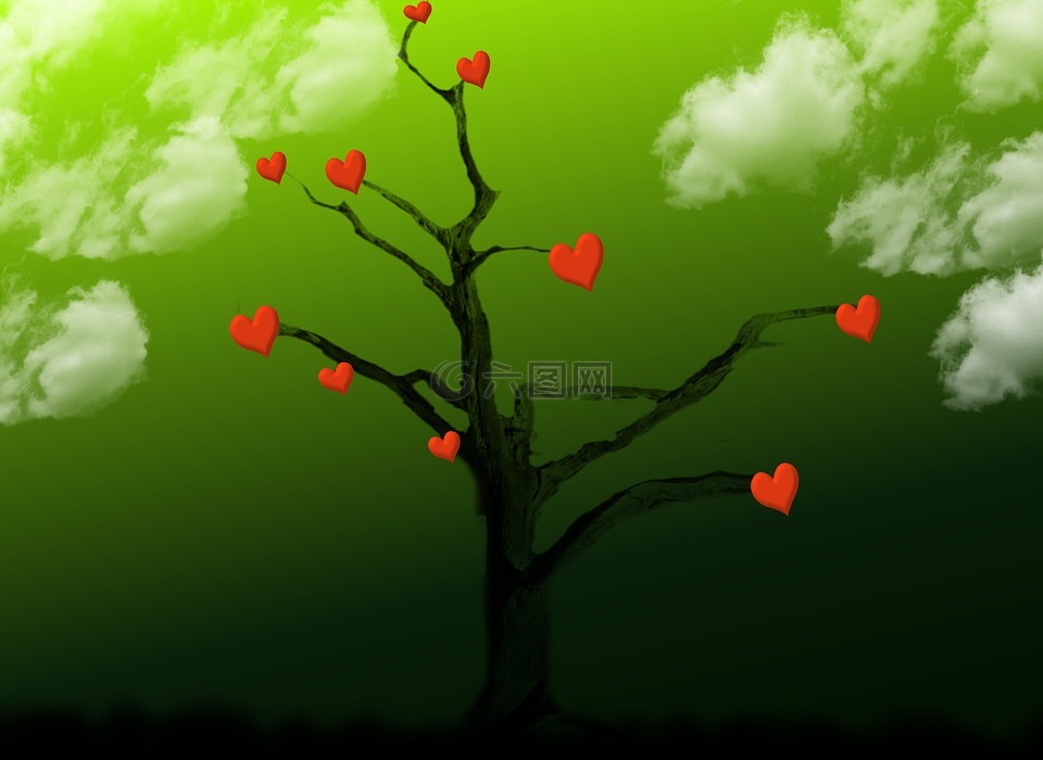 树,心脏,爱情