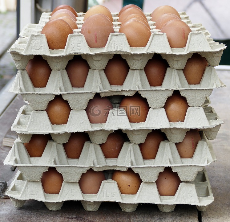 蛋,鸡鸡蛋,鸡蛋盒