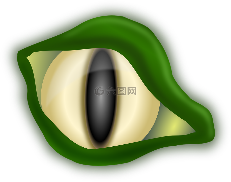 鳄鱼,眼,绿色