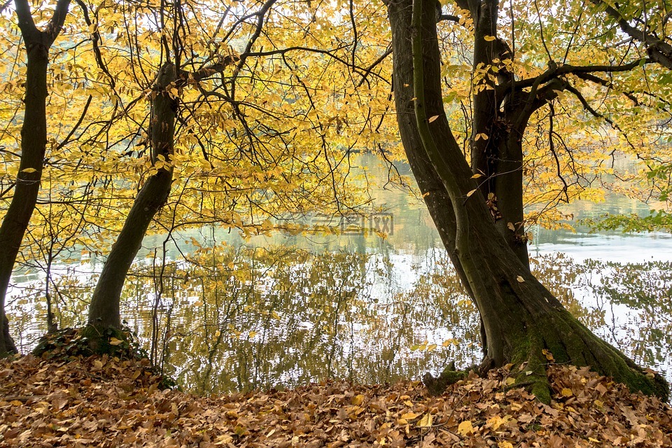 秋季,在河上,河