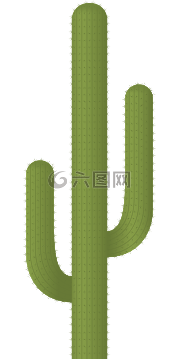 仙人掌 植物 沙漠高清图库素材免费下载 图片编号 六图网