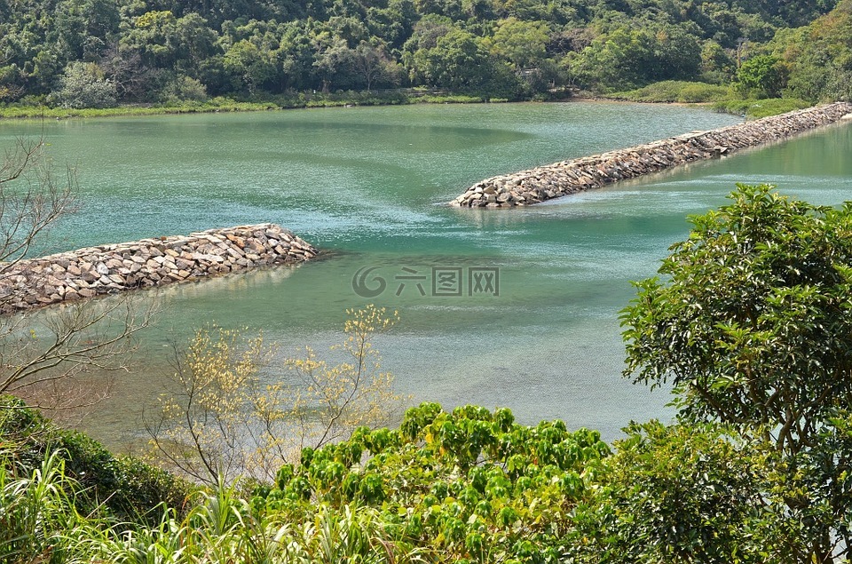 河,坝,榕树