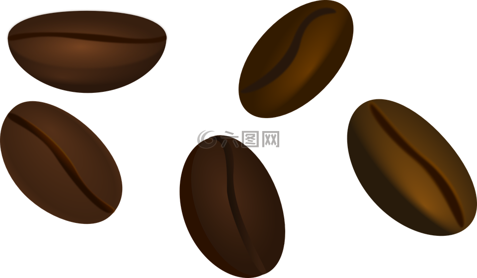 咖啡豆,豆类,咖啡