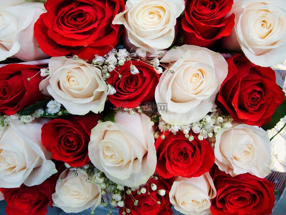 玫瑰,婚礼,花束
