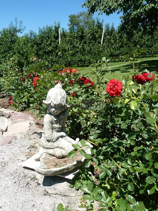 花园,石像,玫瑰床上