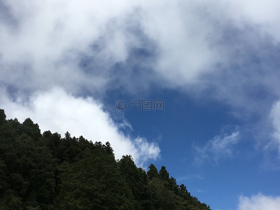 阿里山,台湾,蓝天