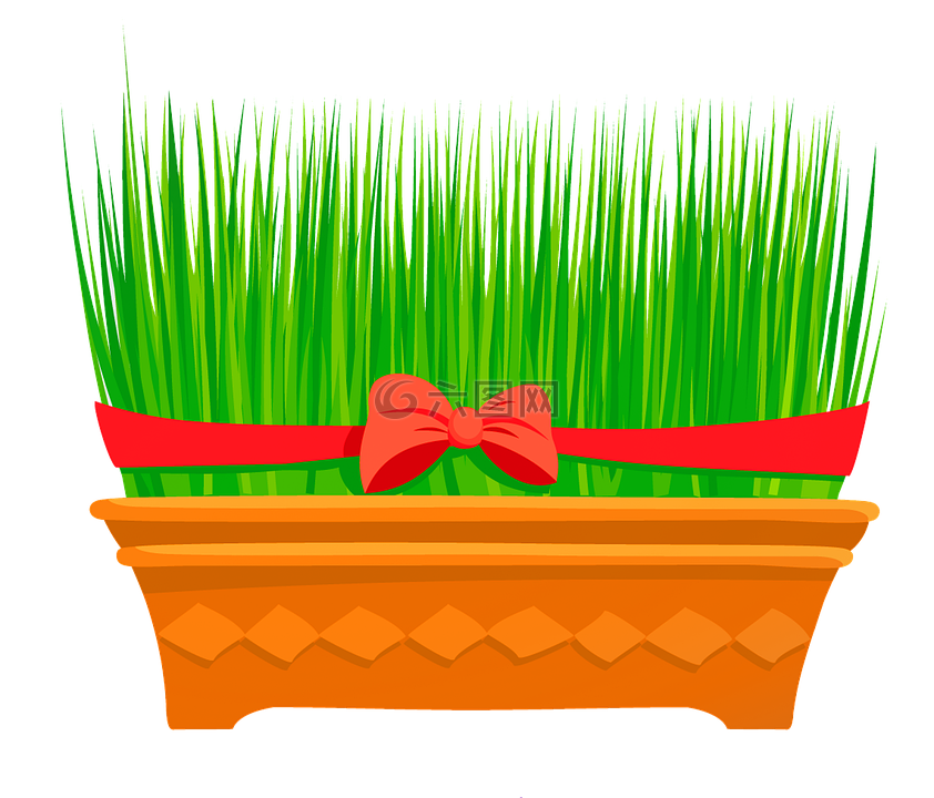 小麦草 花 季节高清图库素材免费下载 图片编号 六图网