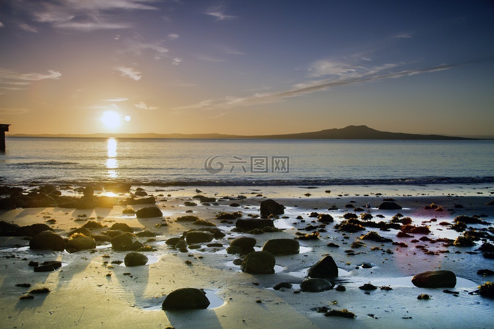 太阳升起,海滩,新西兰