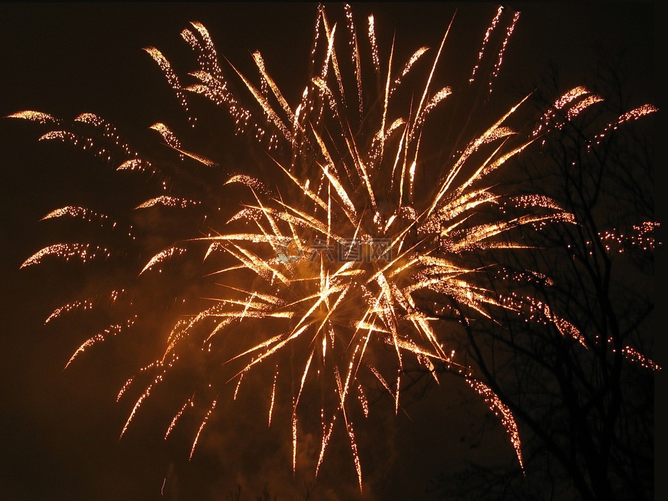 烟花,新年