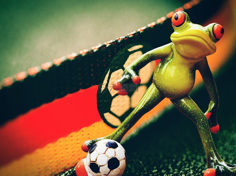 欧洲足球锦标赛,青蛙,足球