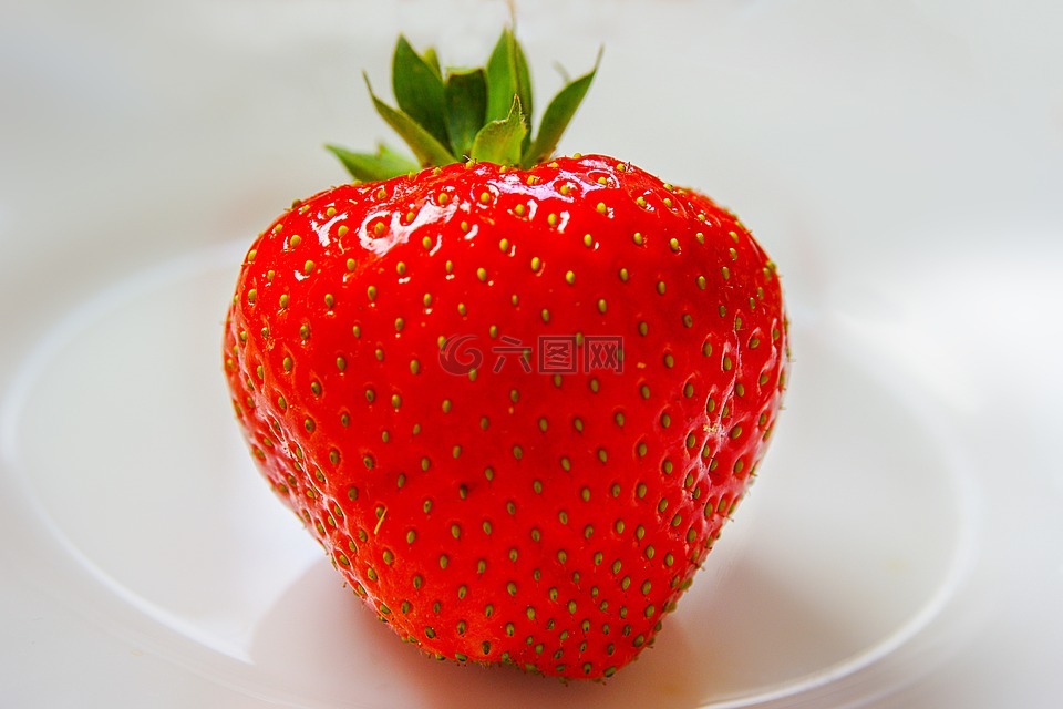 草莓,水果,红色
